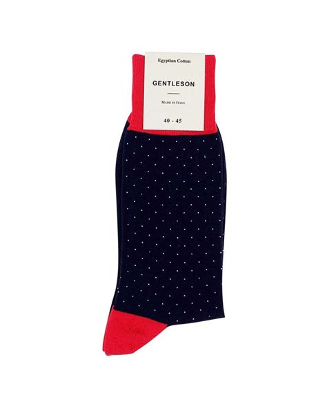 Chaussettes de Luxe & en Coton Homme 